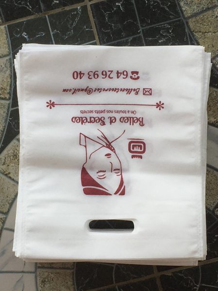 (Code-A2) sachet personnalisé au format en cm 20/25